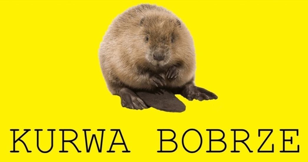 bobr